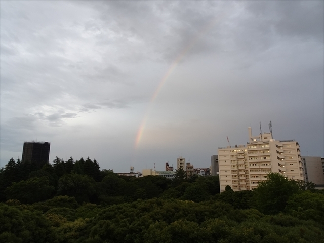 DSC09783.JPG