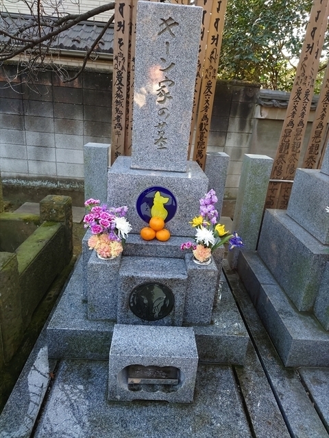 DSC_0201.JPG